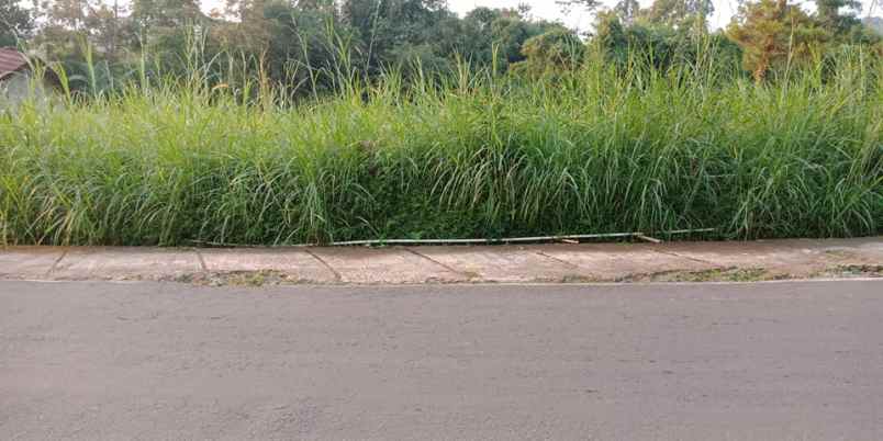 tanah kemuning ngargoyoso