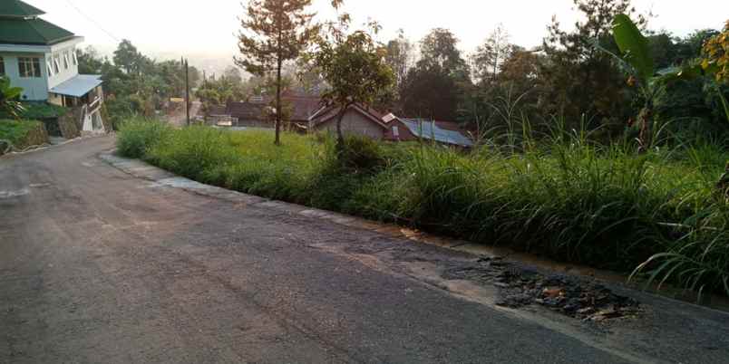 tanah kemuning ngargoyoso