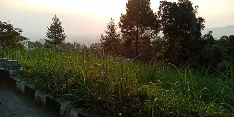 tanah kemuning ngargoyoso