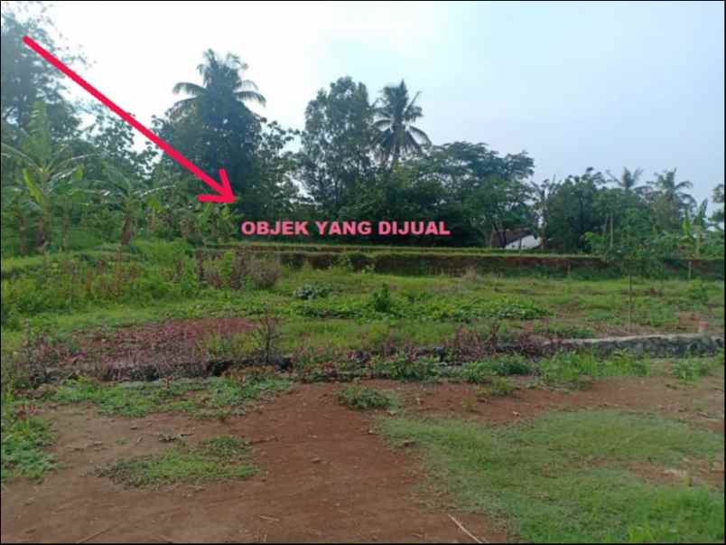 tanah kerjo karanganyar