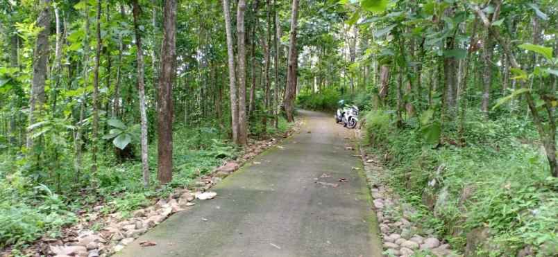 tanah kerjo karanganyar