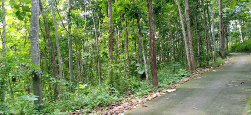 tanah kerjo karanganyar