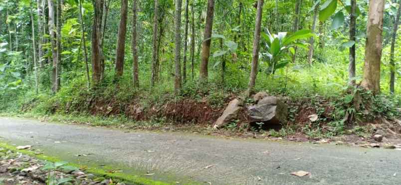 tanah kerjo karanganyar