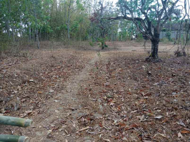 tanah mojogedang karanganyar