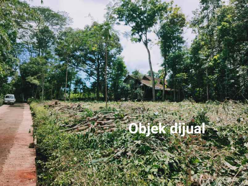 tanah plangsalam mojogedang