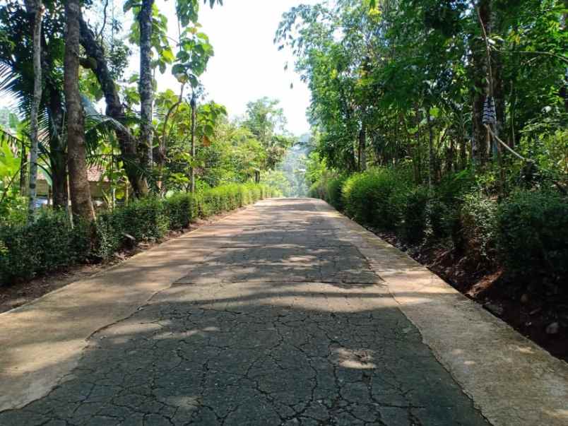 tanah plangsalam mojogedang