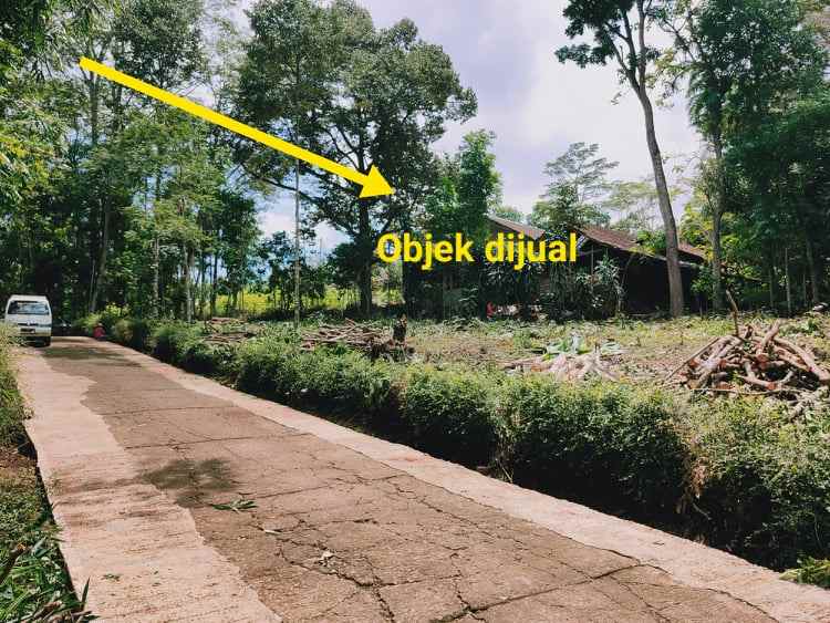 tanah plangsalam mojogedang