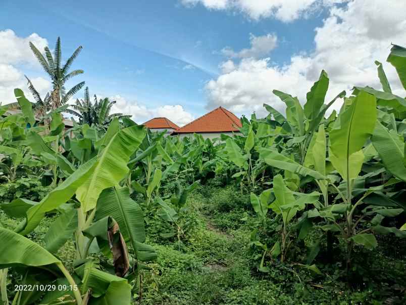 tanah sanur denpasar bali
