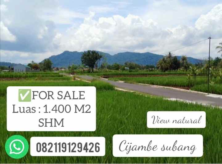 tanah sawah view bagus cijambe subang