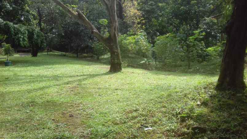 tanah wr sila ciganjur jakarta