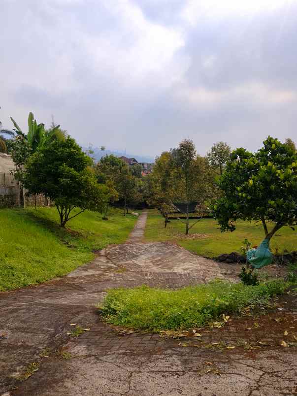 villa dan kebun durian
