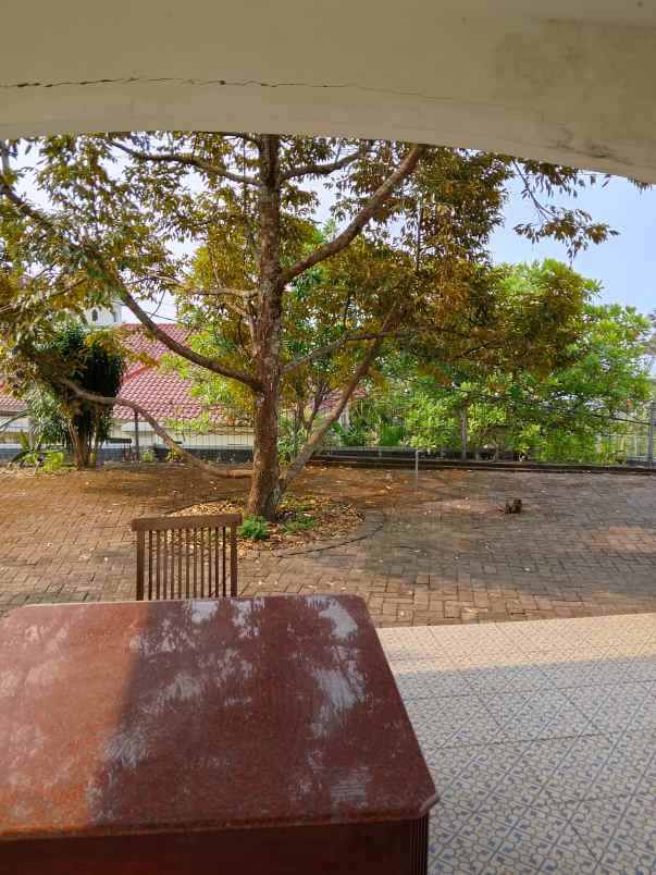 villa dan kebun durian