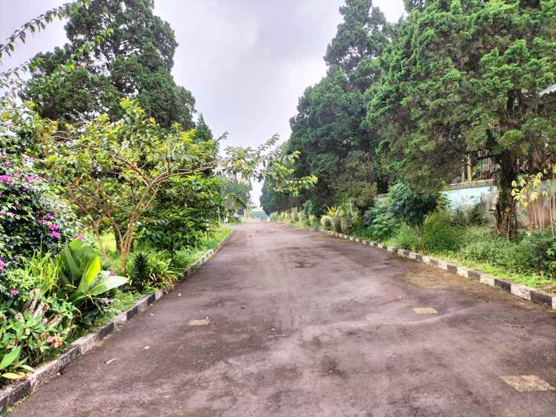 bangunan bekas pabrik dan gudang di gadog cianjur