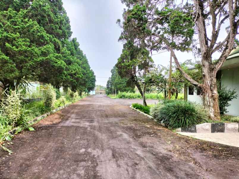 bangunan bekas pabrik dan gudang di gadog cianjur