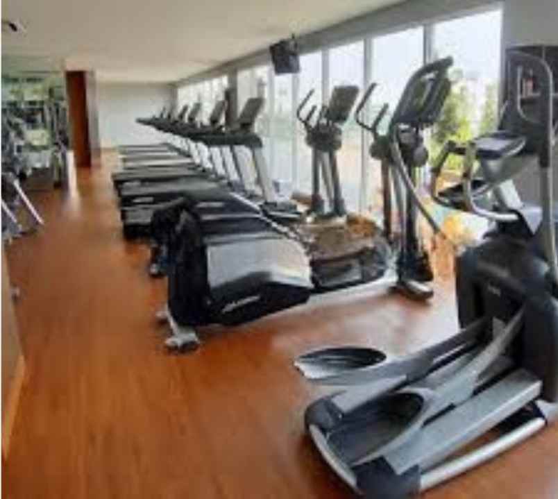 dijual apartemen apartemen menteng park jl