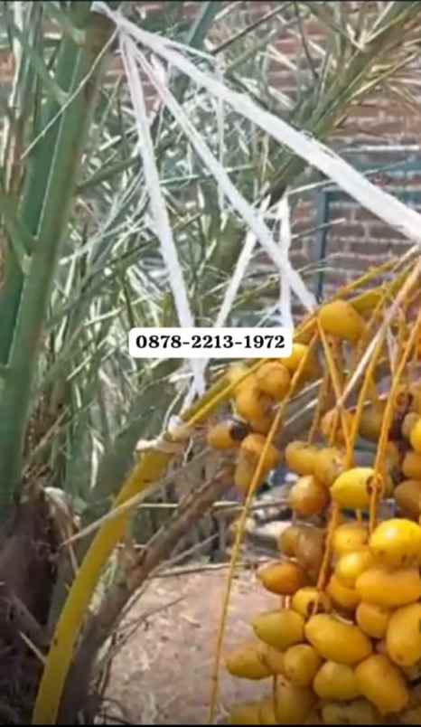 dijual rumah banjaran bandung