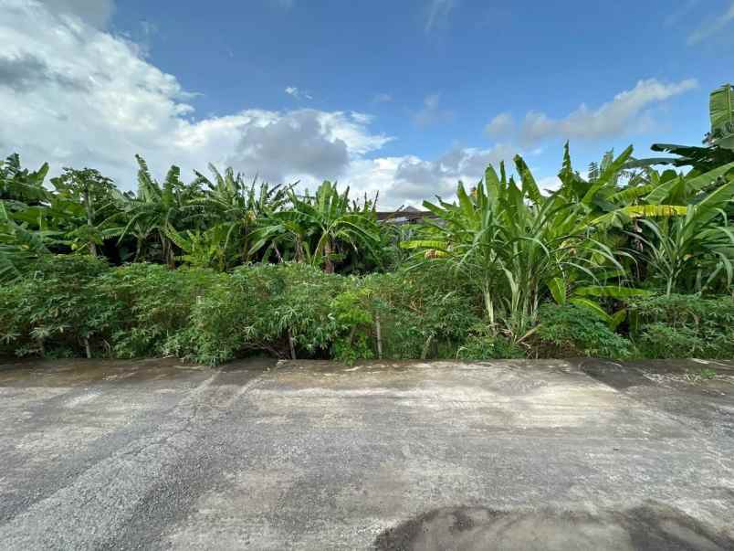 dijual rumah jalan tukad petanu