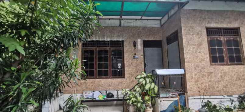 dijual rumah kp gusti kebun pala nomor