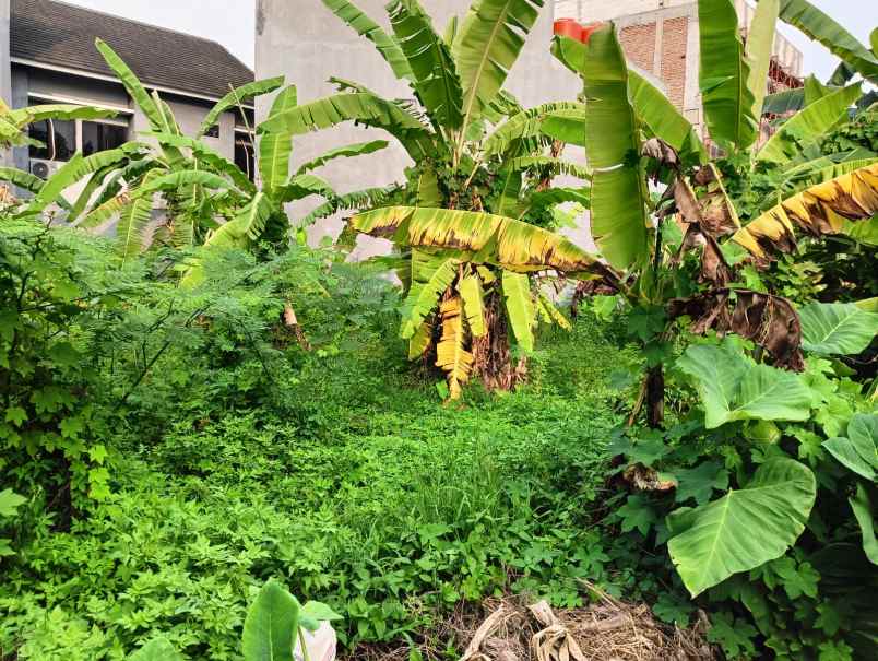 dijual tanah bulusan tembalang