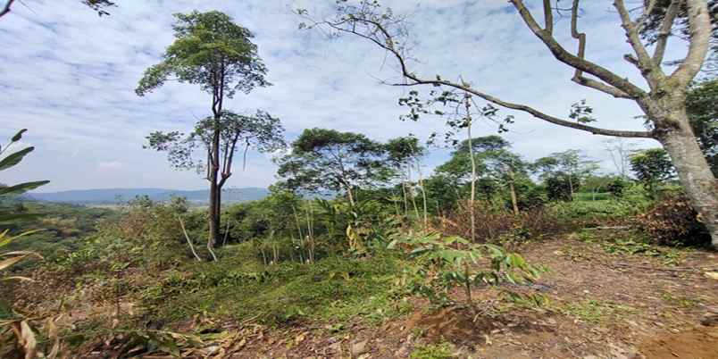 dijual tanah bunihayu