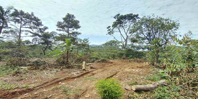 dijual tanah bunihayu