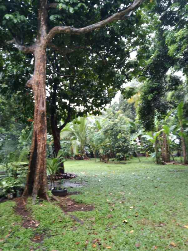 dijual tanah ciganjur jagakarsa jakarta