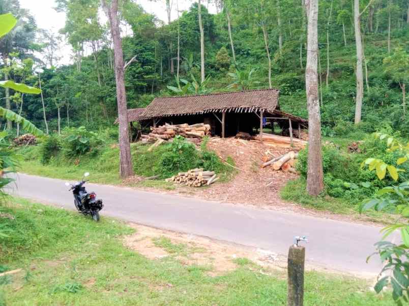 dijual tanah dekat candi cetho kemuning