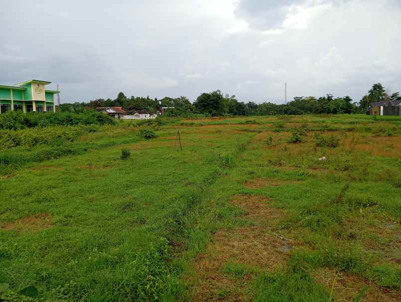 dijual tanah delanggu dekat jln raya