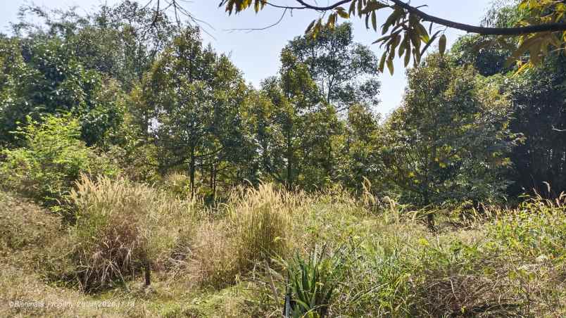 dijual tanah desa ciracas kecamatan