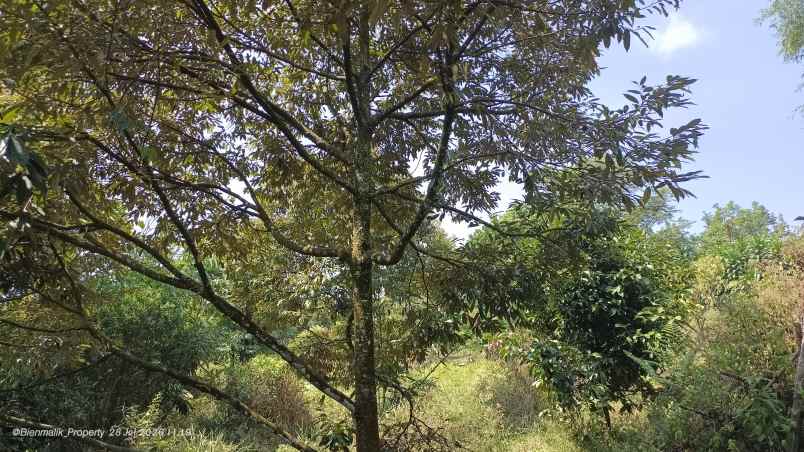 dijual tanah desa ciracas kecamatan