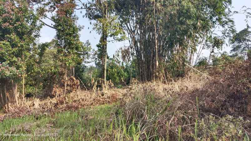 dijual tanah desa ciracas kecamatan