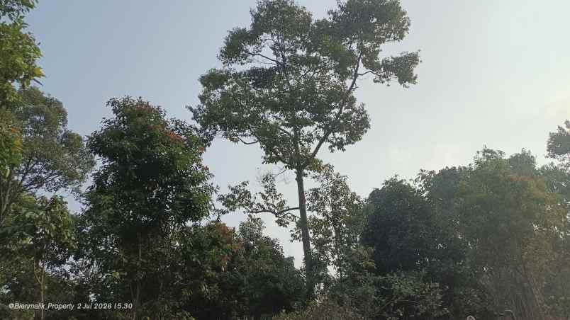 dijual tanah desa ciracas kecamatan