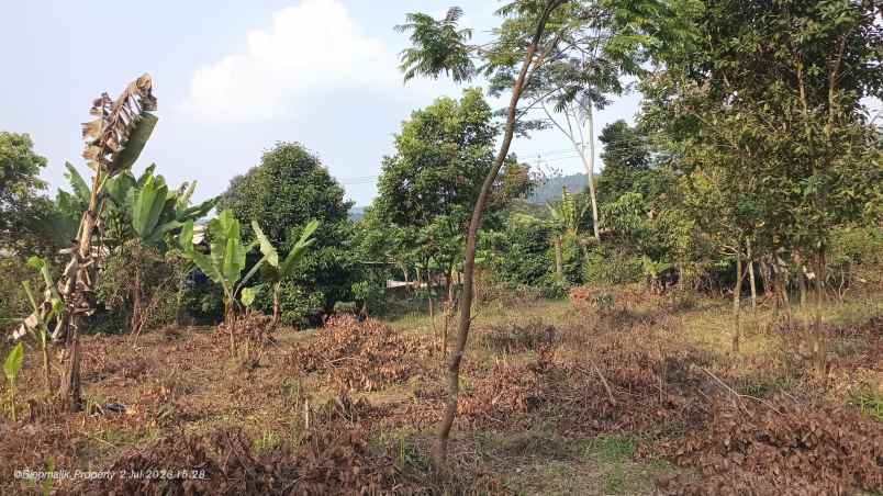 dijual tanah desa ciracas kecamatan