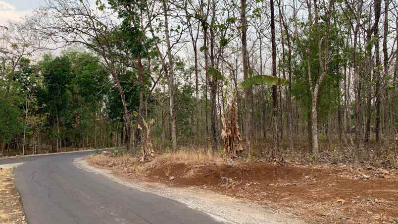 dijual tanah dijual tanah di jl dukuh