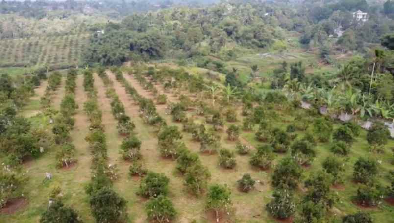 dijual tanah gunung endut kec