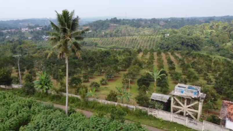 dijual tanah gunung endut kec