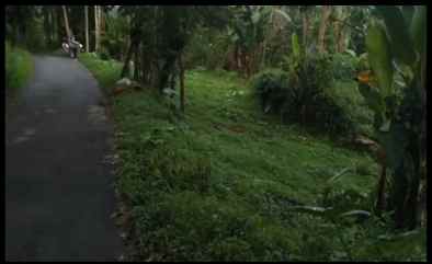 dijual tanah jl bukum sikeben bandar