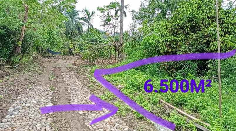 dijual tanah jl jamin ginting bandar