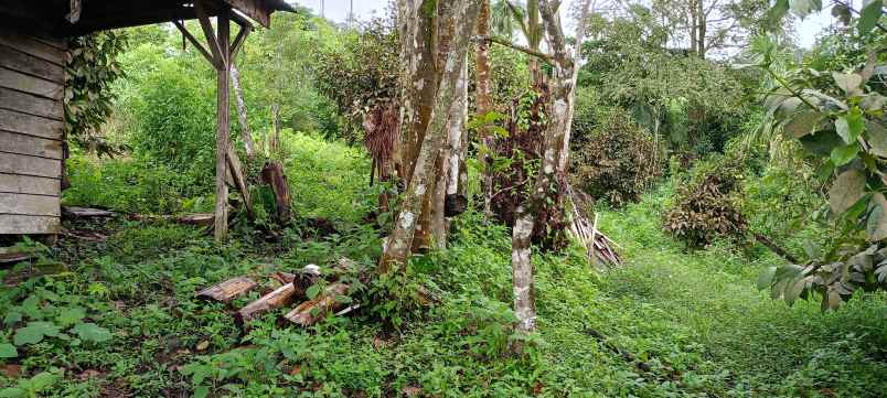 dijual tanah jl jamin ginting bandar