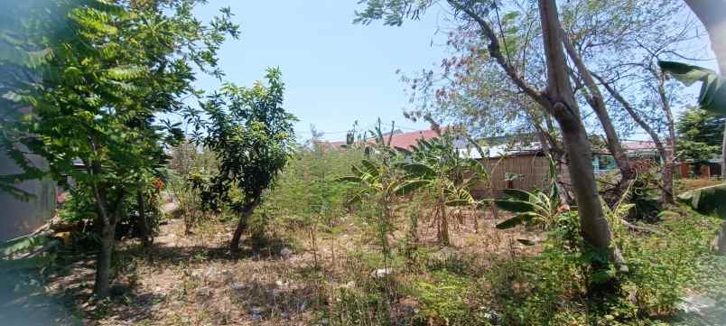 dijual tanah jl siraga indah desa tuk