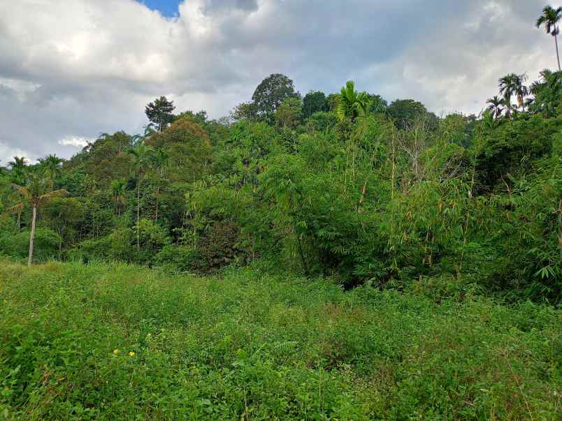 dijual tanah ketanguhen bandar baru