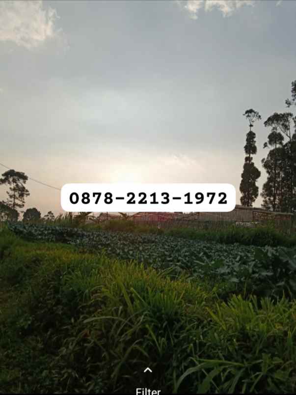 dijual tanah lembang bandung barat