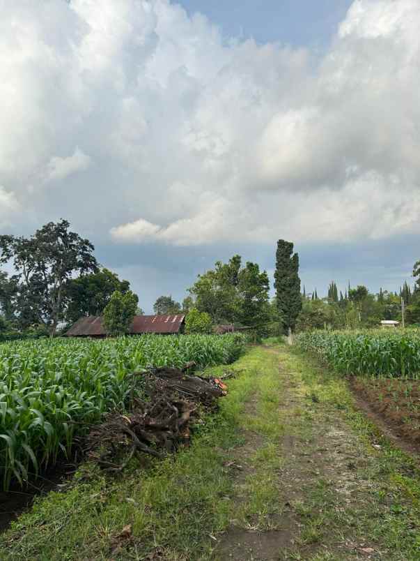 dijual tanah ngaglik batu