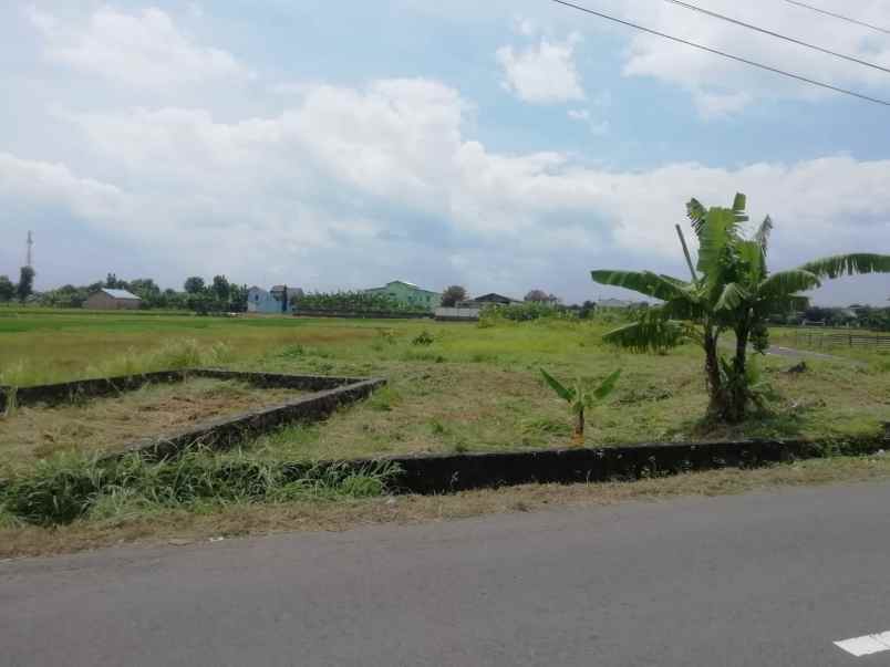 dijual tanah pekarangan di jelobo