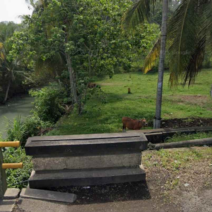 dijual tanah pekutatan antosari selabih