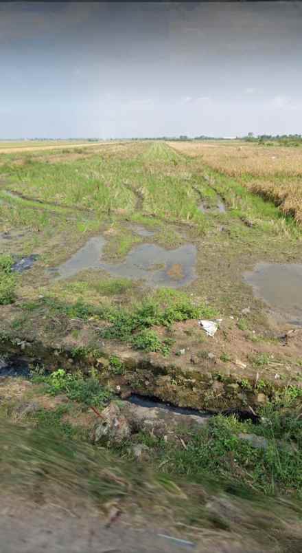 dijual tanah peruntukan perumahan