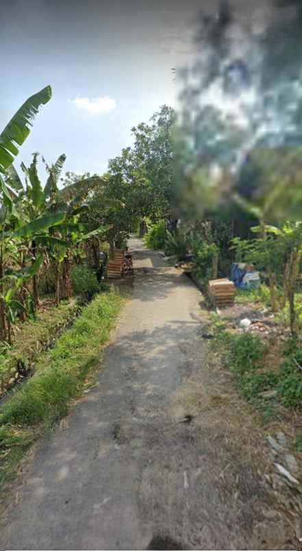 dijual tanah peruntukan perumahan