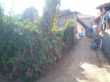 dijual tanah pinggir jalan raya