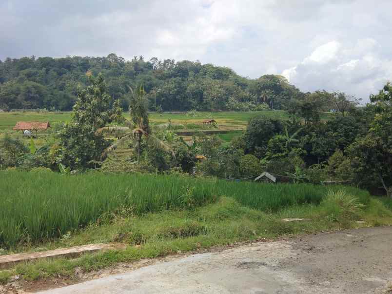 dijual tanah pinggir jalan view gunung