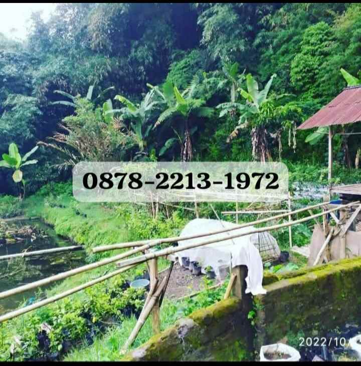 dijual tanah punclut lembang kbb